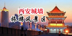 操老女人逼中国陕西-西安城墙旅游风景区